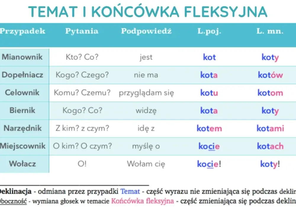 Końcówki w języku polskim: kluczowe zasady i zastosowanie