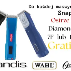 Dlaczego fryzjerzy kochają maszynkę Andis AGR? Oto jej sekrety!