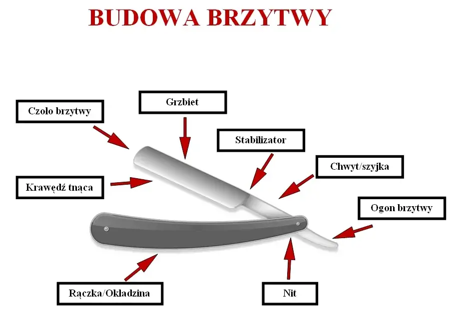 Zdjęcie Co to jest brzytwa? Fakty które warto znać przed pierwszym goleniem